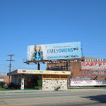 Emily Owens MD billboard